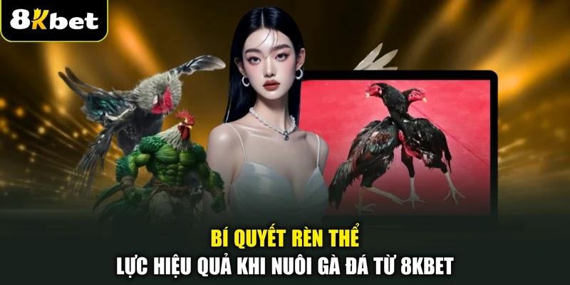Bí quyết rèn thể lực hiệu quả khi nuôi gà đá từ 8KBET