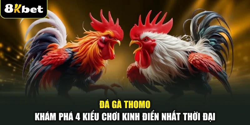 Đá Gà Thomo - Khám Phá 4 Kiểu Chơi Kinh Điển Nhất Thời Đại