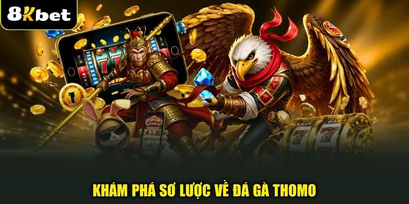 Khám phá sơ lược về đá gà Thomo
