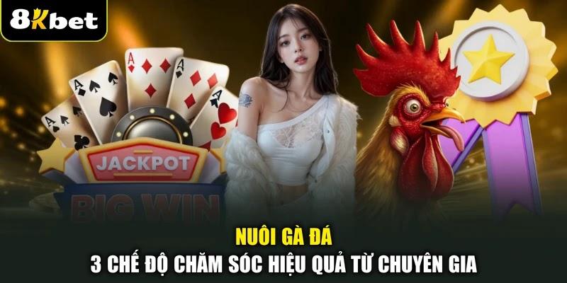 Nuôi Gà Đá - 3 Chế Độ Chăm Sóc Hiệu Quả Từ Chuyên Gia
