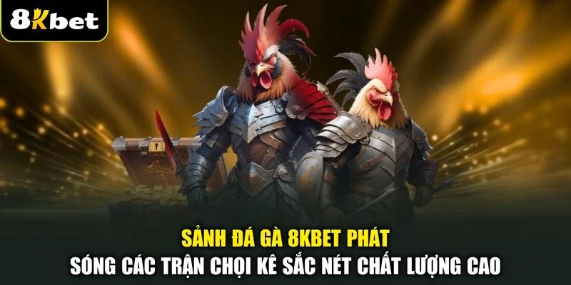 Sảnh đá gà 8KBET phát sóng các trận chọi kê sắc nét chất lượng cao