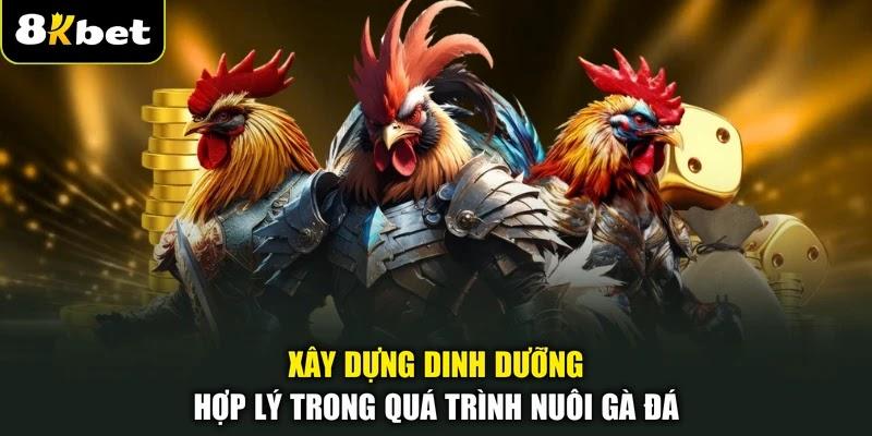 Xây dựng dinh dưỡng hợp lý trong quá trình nuôi gà đá