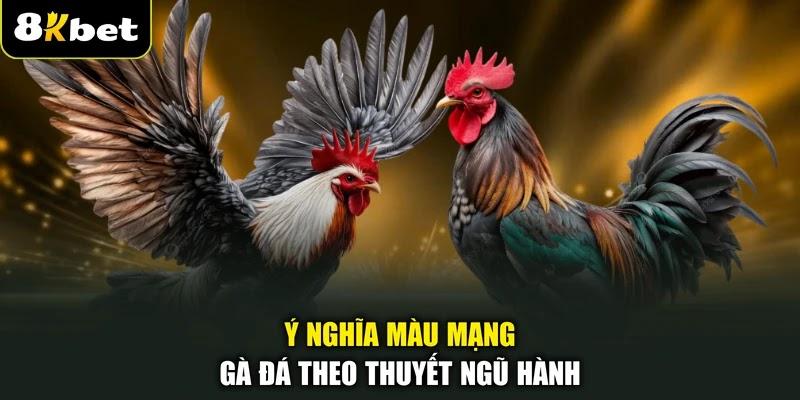 Ý nghĩa màu mạng gà đá theo thuyết ngũ hành